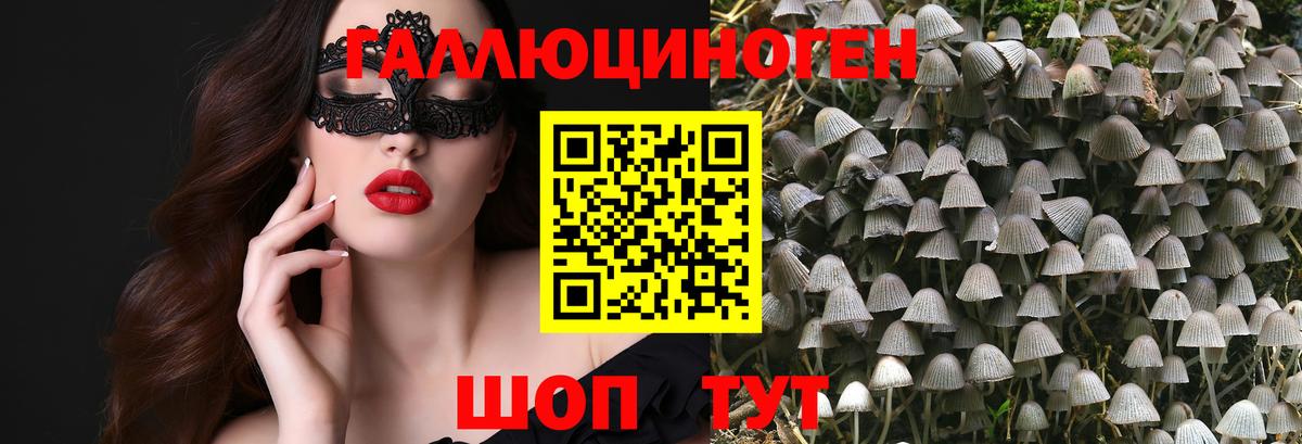 Псилоцибиновые грибы Psilocybine cubensis  Вход с VPN  Старая Купавна 